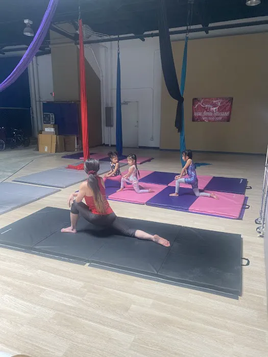 Aerial Fitness Picture 8