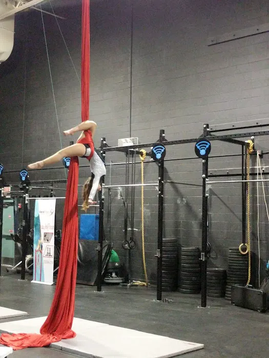 Aerial Fitness Picture 10