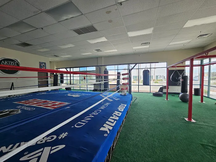 Artist Boxing Gym & Fitness Picture 5