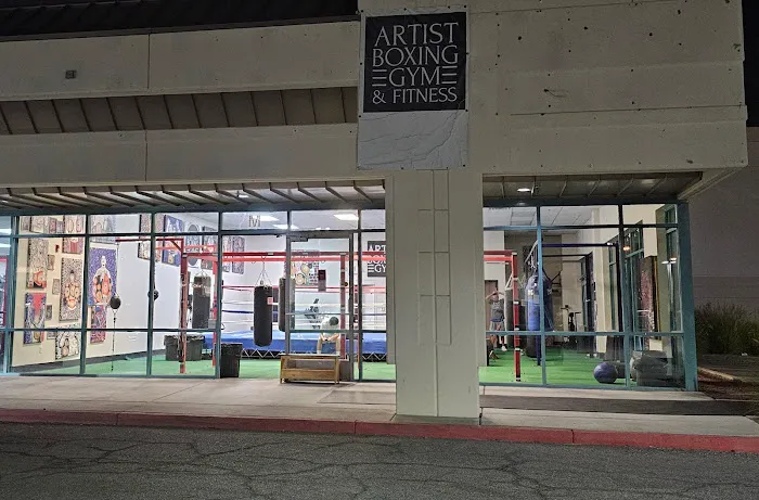 Artist Boxing Gym & Fitness Picture 6