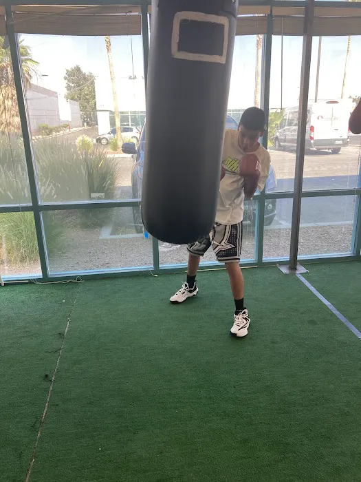 Artist Boxing Gym & Fitness Picture 3