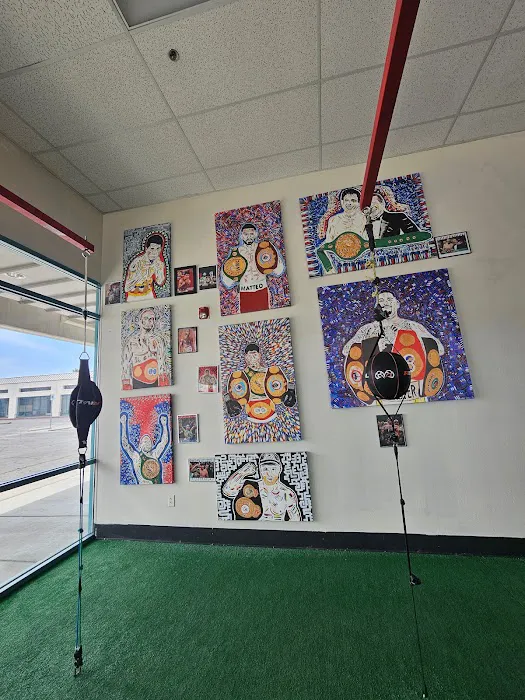 Artist Boxing Gym & Fitness Picture 9