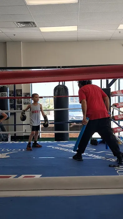 Artist Boxing Gym & Fitness Picture 4