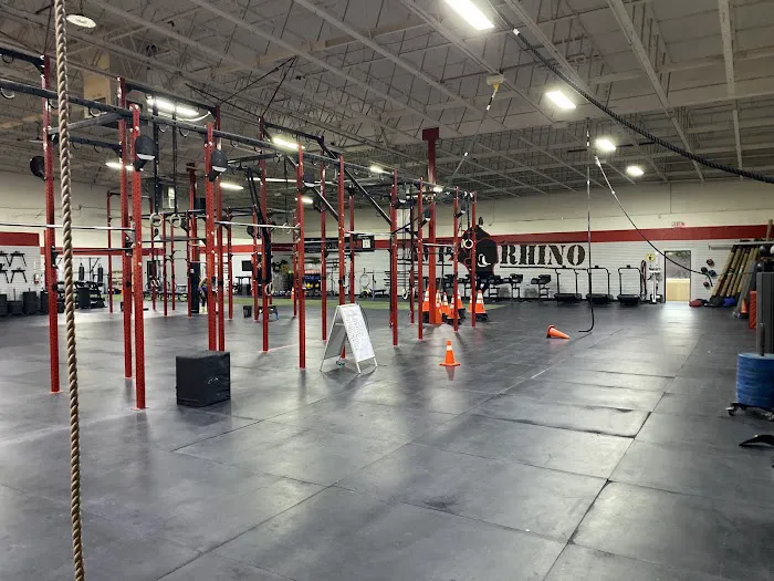 Camp Rhino Southeast - CrossFit - Bootcamp - Ninja Picture 2