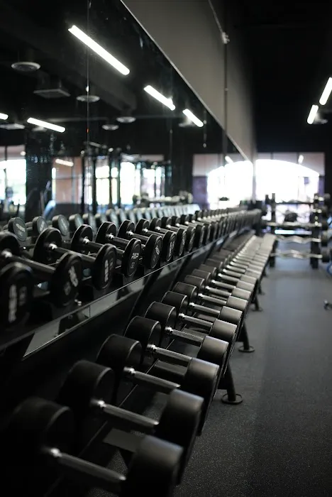 Eclipse Fitness Picture 3