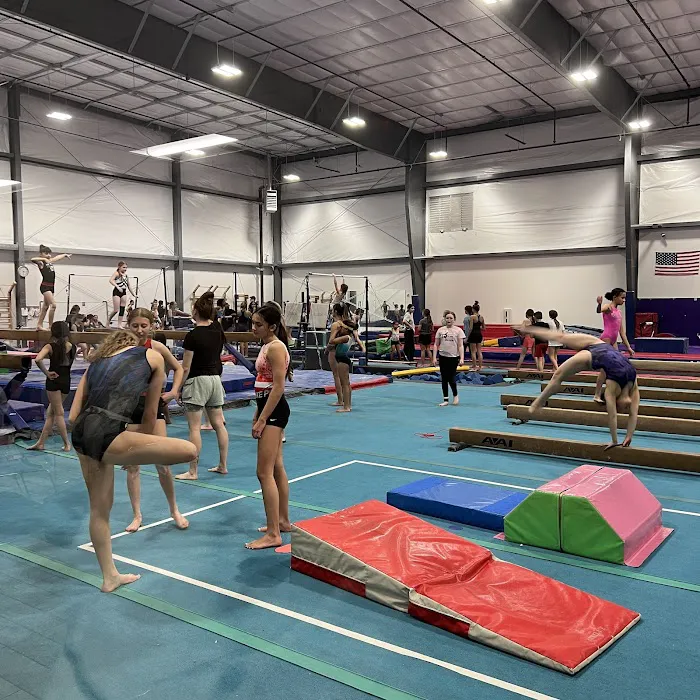 Desert Gymcats Flip 'N Twist Picture 5