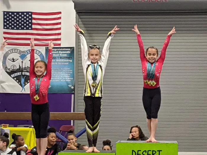 Desert Gymcats Flip 'N Twist Picture 8