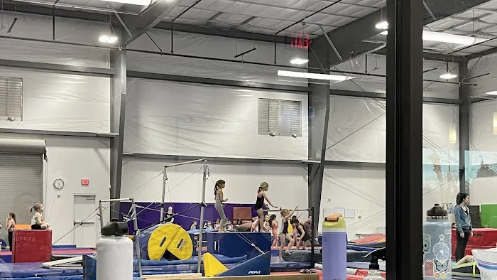 Desert Gymcats Flip 'N Twist Picture 6