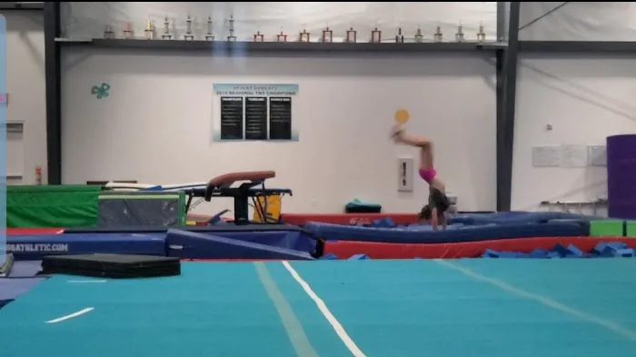 Desert Gymcats Flip 'N Twist Picture 10