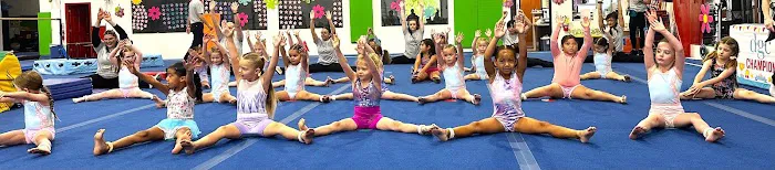 Desert Gymcats Gymnastics Picture 9
