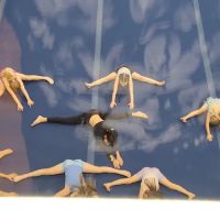 Desert Gymcats Gymnastics ico
