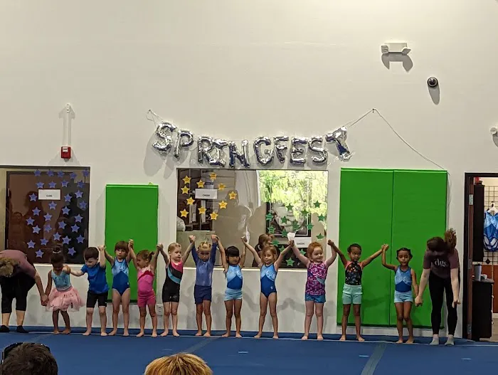 Desert Gymcats Gymnastics Picture 5