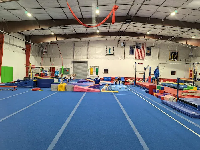 Desert Gymcats Gymnastics Picture 3