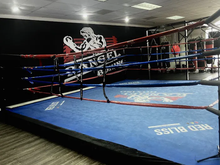 Rangel Boxing las Vegas Picture 10