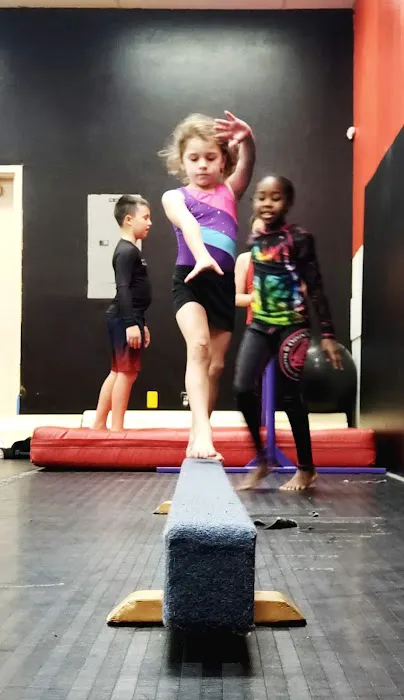 Odin's Gymnastics Academy Picture 4