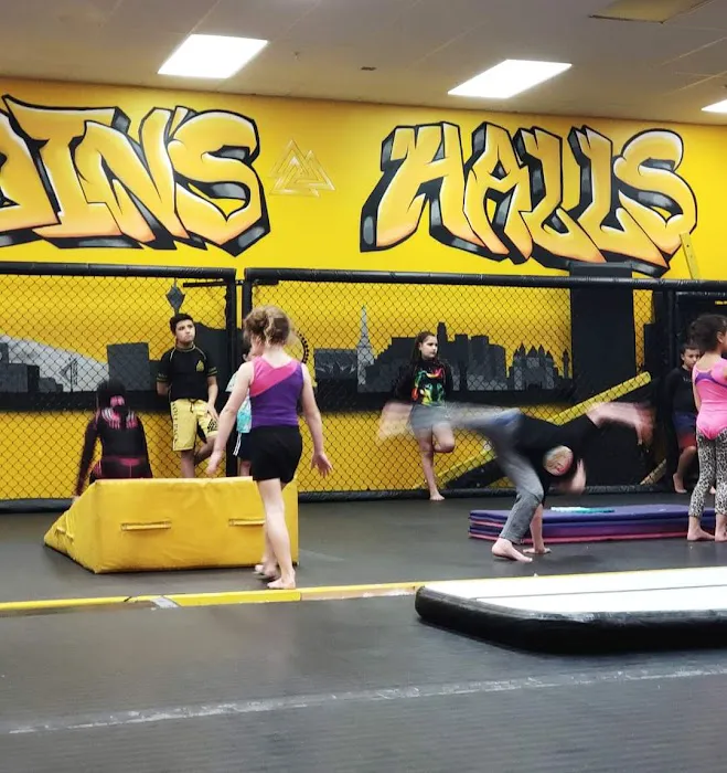 Odin's Gymnastics Academy Picture 1