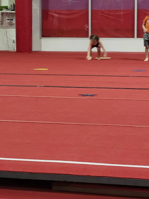 GYMCATS Picture 7