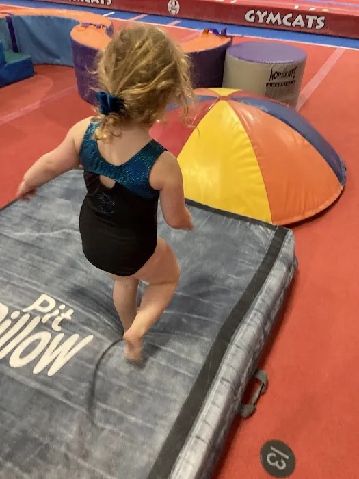 GYMCATS Picture 3
