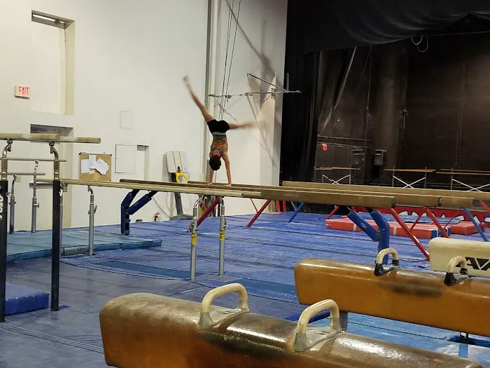GYMCATS Picture 9