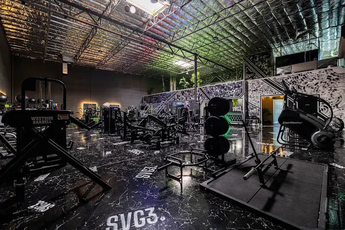 SVG3 Fitness Picture 10
