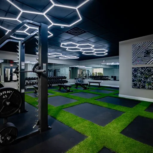 SVG3 Fitness Picture 9
