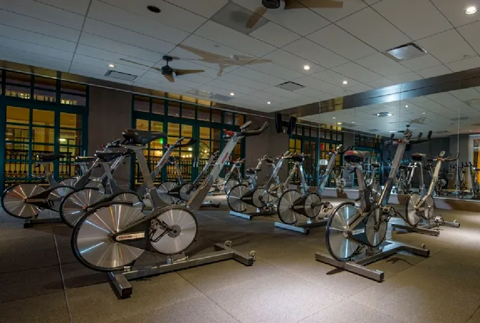 David Barton Gym Picture 10