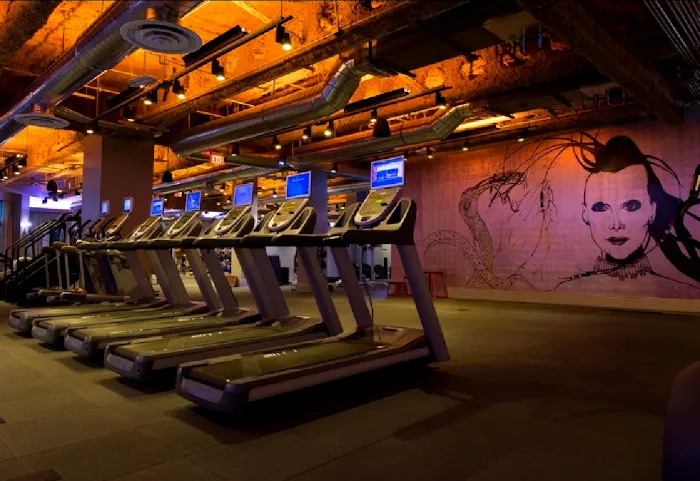 David Barton Gym Picture 8