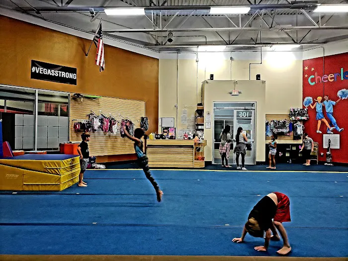 Gymnastics 702 Picture 2