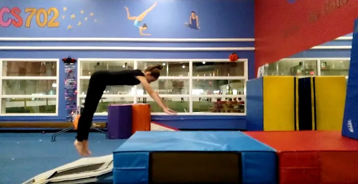 Gymnastics 702 Picture 4