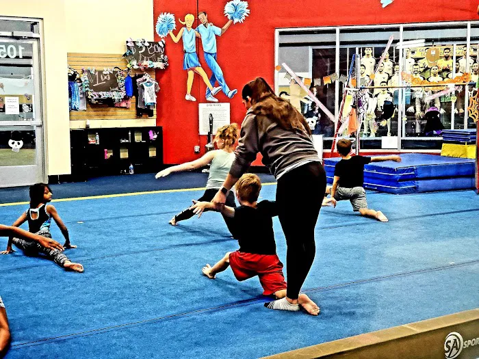 Gymnastics 702 Picture 3