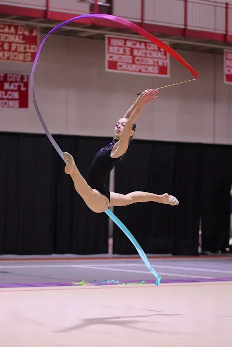 Nevada Rhythmic Academy Picture 7
