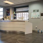 Shine Alternative Fitness