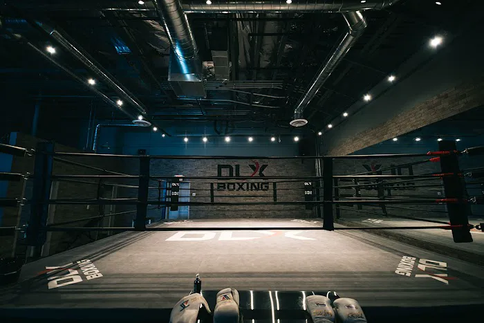 DLX Boxing Picture 4