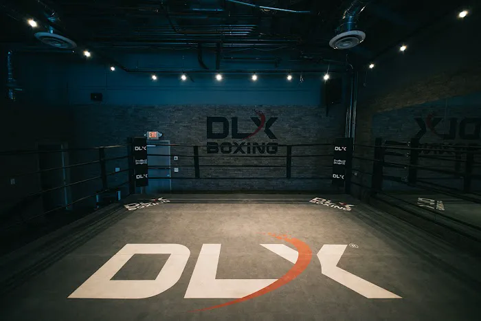 DLX Boxing Picture 2