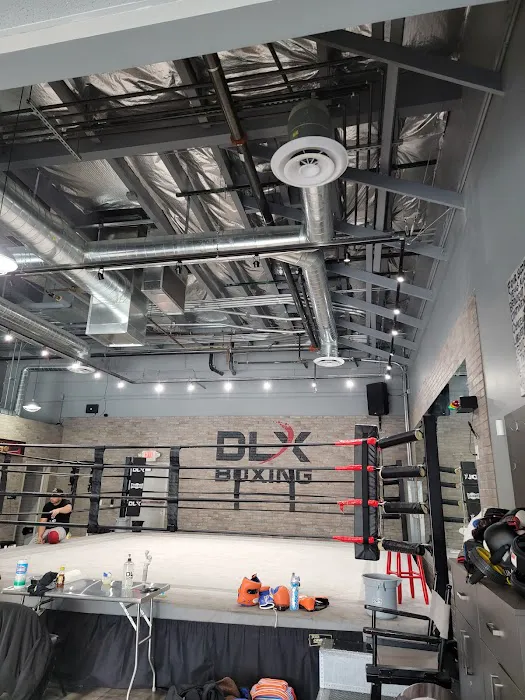 DLX Boxing Picture 5