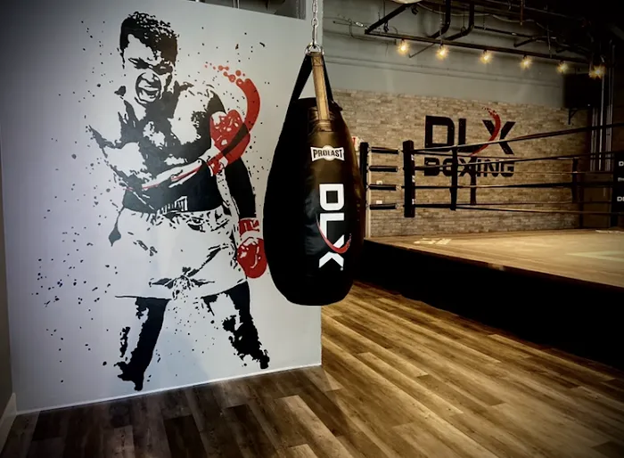 DLX Boxing Picture 8