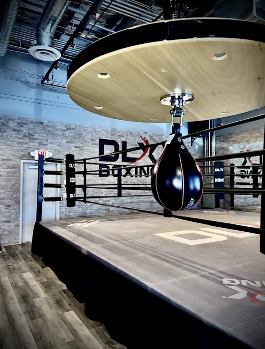 DLX Boxing Picture 9