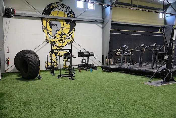 PROTOGYM Picture 2