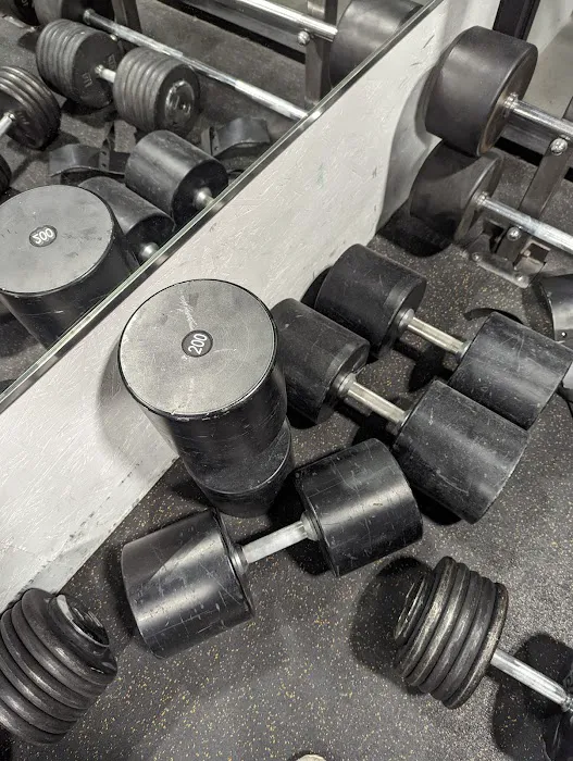 PROTOGYM Picture 8