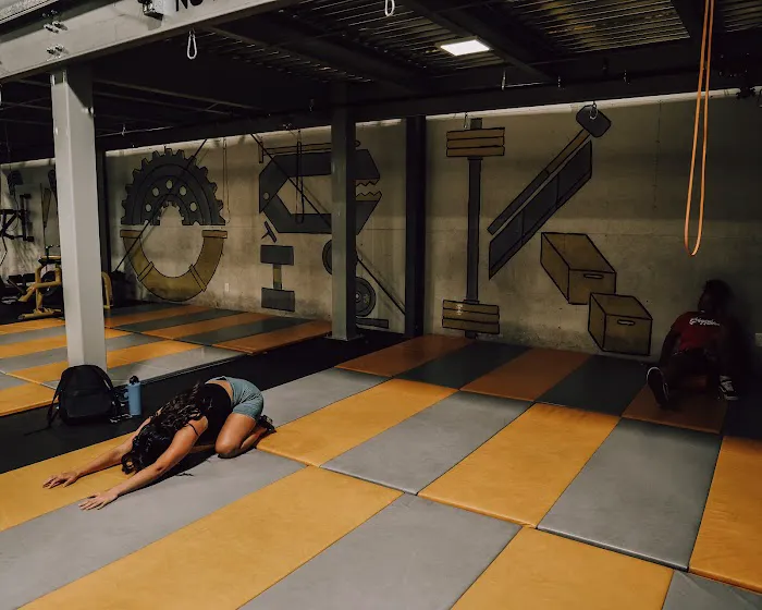 PROTOGYM Picture 6