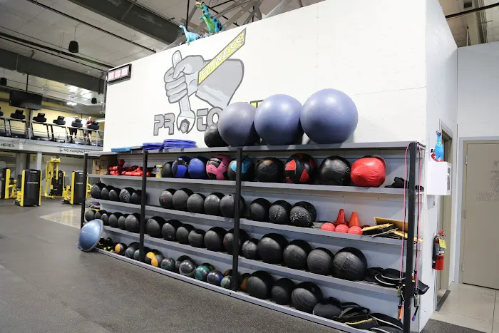 PROTOGYM Picture 7