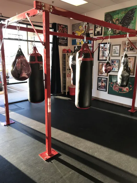 Big Shot Boxing Picture 6