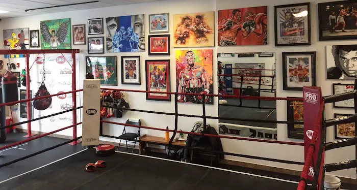 Big Shot Boxing Picture 3