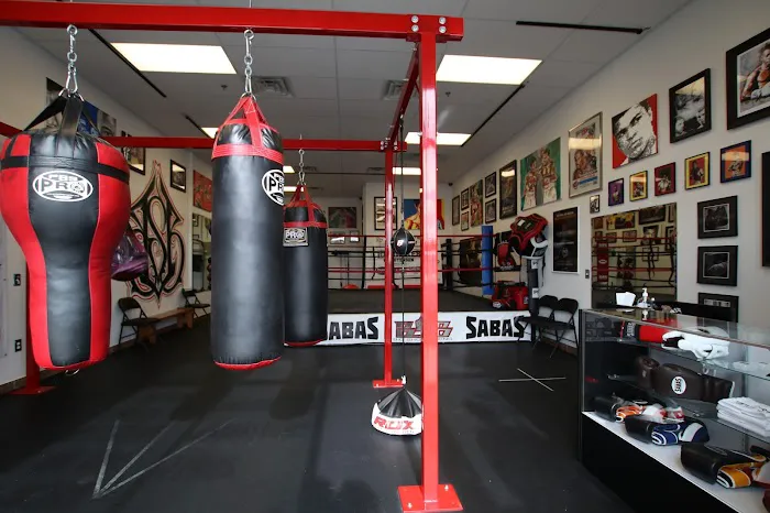 Big Shot Boxing Picture 4