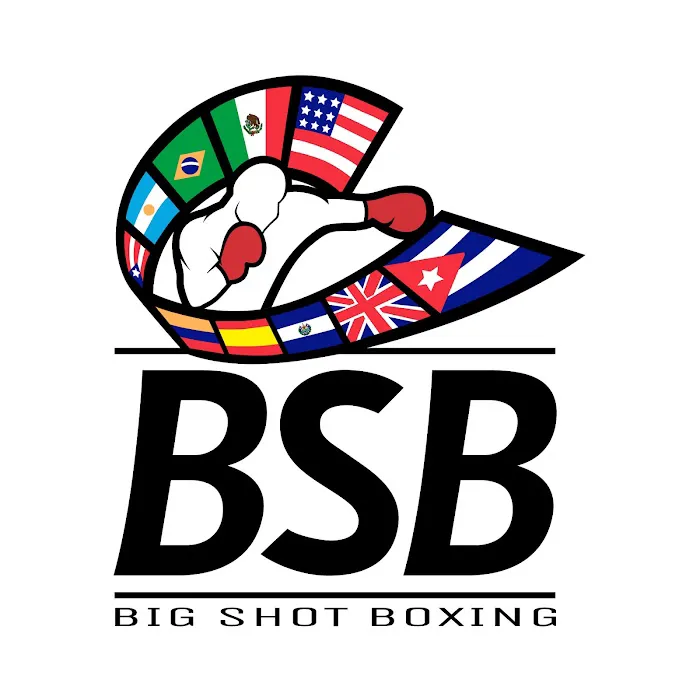 Big Shot Boxing Picture 2
