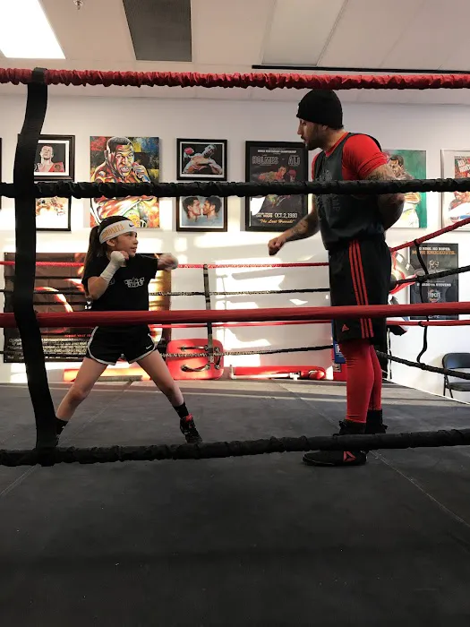 Big Shot Boxing Picture 1