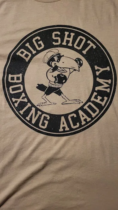 Big Shot Boxing Picture 8