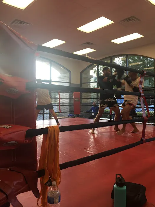Hard Knocks Muay Thai & Judo Picture 9