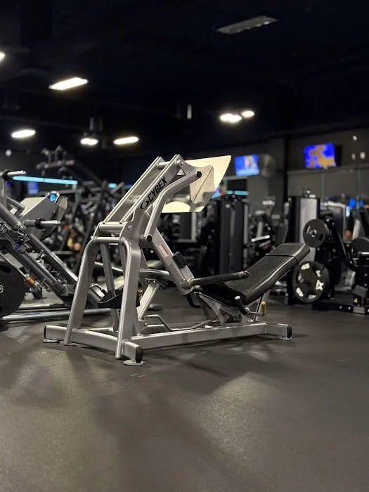 Cult Fitness Picture 7