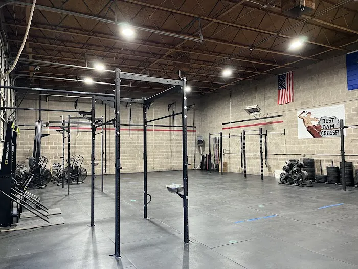 Best DAM Crossfit Picture 6